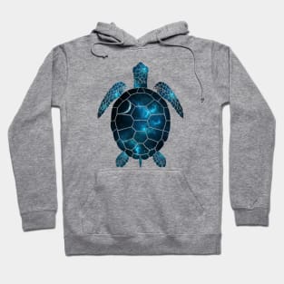 space turtle Hoodie